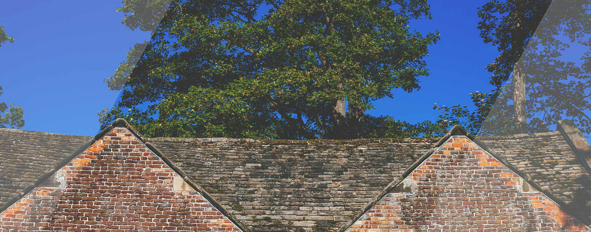 How to Get the Most Out of Your Roof